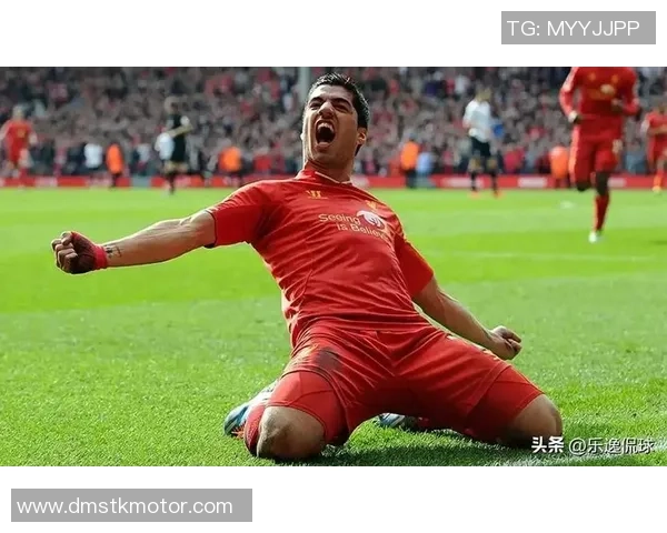 因伤病过度影响职业生涯被球迷称为踢废的足球天才球星是谁